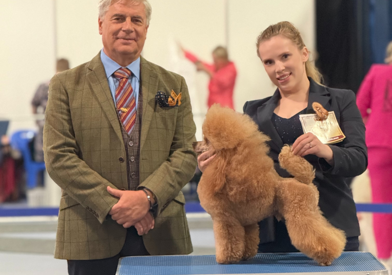 Ucuza Sahiplendiğiniz Köpek Neden Daha Pahalıya Mal Olur?